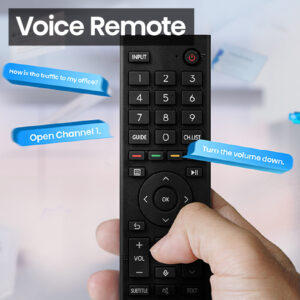Voice remote 